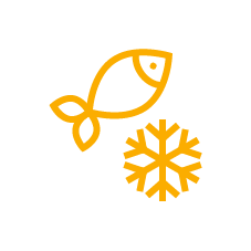 Yellow fish and frozen snowflake icon
