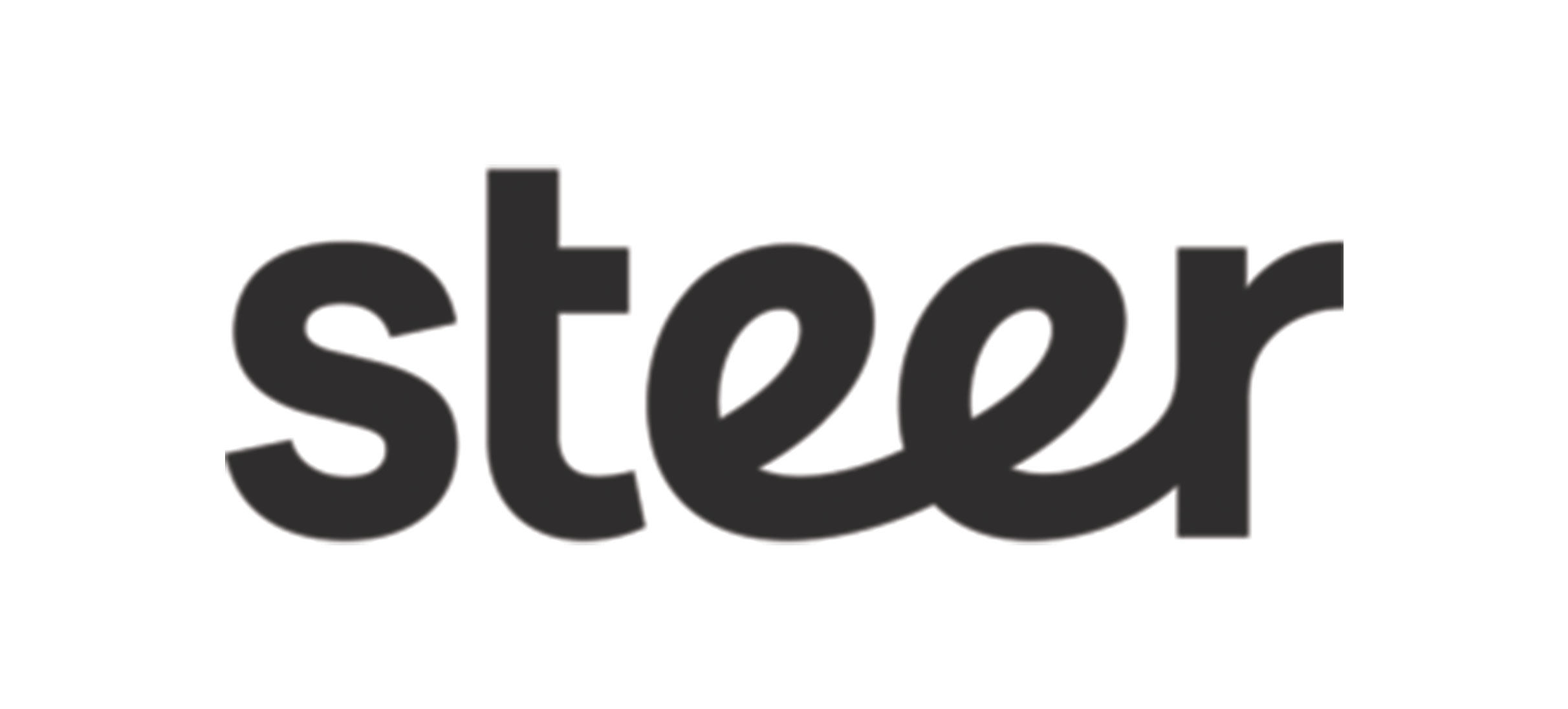 Steer Logo